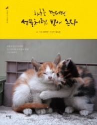 하루를 견디면 선물처럼 밤이 온다 - 고양이는 고양이다 1